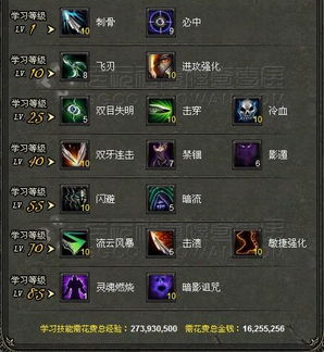 2026神鬼传奇刺客技能加点全攻略，3大流派适配PK/副本，新手零氪也能Carry