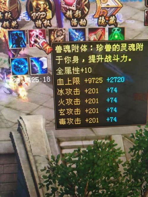 天龙八部武魂类型怎么选？适配PVP/PVE的实战搭配与进阶全攻略