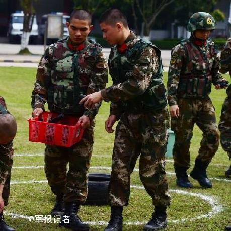 简易投掷炸弹全类型拆解，适配热门需求的冷门流派实战制敌指南