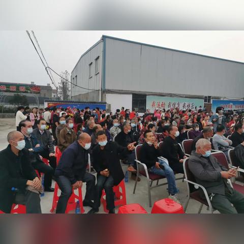 玩宝贝万岁总没成就感？稀有宝贝解锁/家园布局/好感度提升全指南