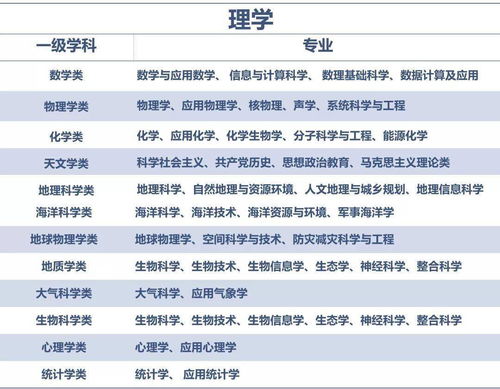 九阴真经药师全类型深度解析，哪类适配热门需求？附2026年实战数据