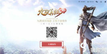 九阴真经安装类型怎么选？匹配热门需求的实战安装全攻略