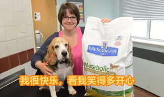 宠物减肥一月4000元起值不值？拆解高端定制服务的门道与真实效果