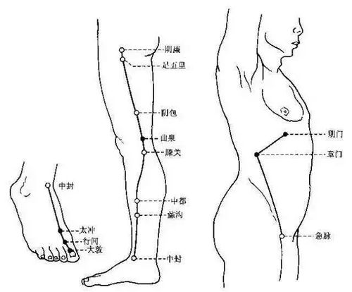 九阴真经奇经八脉选不对？脉型分类+实战搭配+冲穴技巧，手把手教你战力翻倍