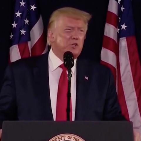 植物大战僵尸花园战争类型有哪几类？2026热门需求匹配+实战上分指南