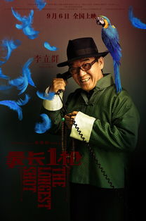 功夫梦真的只是儿童励志片？拆解动作细节、成长隐喻与跨文化彩蛋