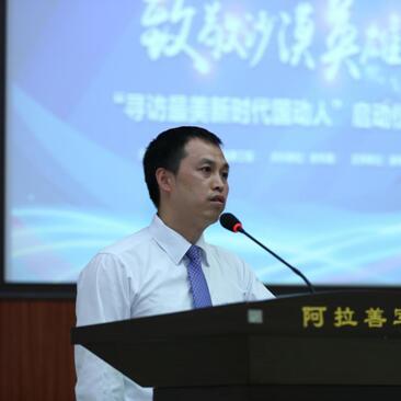 保卫萝卜沙漠9怎么拿金萝卜？零氪新手速通道具全清实战指南