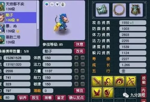 2026梦幻西游平民进阶全攻略，五开高效收益暗门道+新手避坑指南