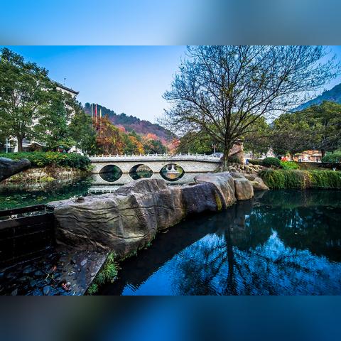 森林类游戏怎么选怎么玩？全类型解析+热门需求实战指南