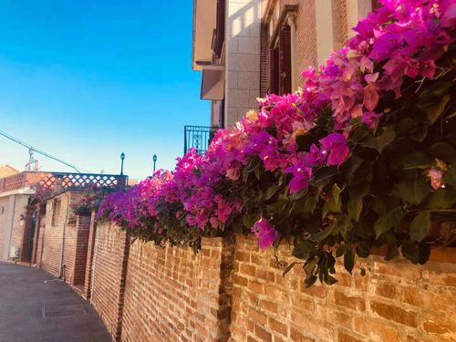 青龙左槽值得留吗？2026版适配职业、触发技巧、毕业搭配全指南