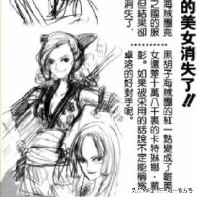 专属觉醒幻兽种果实怎么选？航海王手游定制搭配与战力飙升全攻略