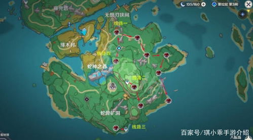 原神海灵芝精准收集指南，位置类型拆解+万叶/神里突破速刷方案