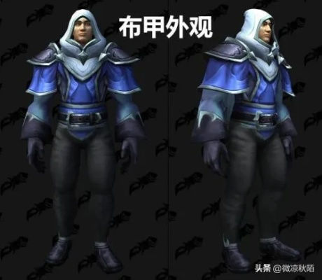 2026魔兽世界布甲幻化指南，冷门爆火/种族适配/团本刚需怎么选？