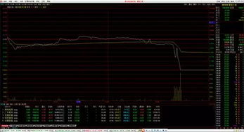 私服999类型大盘点，如何匹配你的需求？附避坑实战攻略
