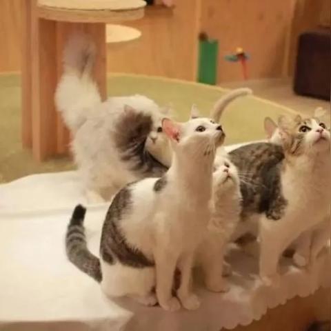 失落的星球开荒避坑全攻略，机甲解锁、BOSS速杀+极地生存核心技巧