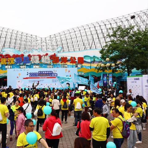 火炬之光2宠物蛋全攻略，类型拆解、流派适配+隐藏蛋解锁指南