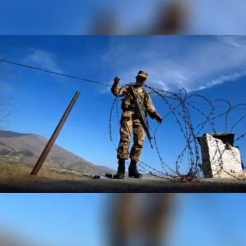 虐杀原形2视频攻略怎么选？速通、BOSS逃课、全收集的实战技巧全揭秘