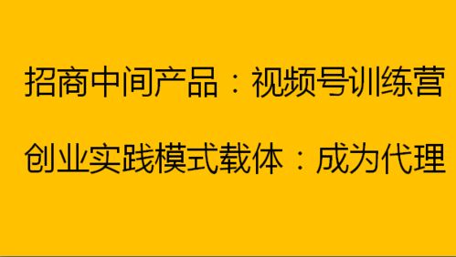 30天破局！小众实操求爱宝典，精准适配社恐/慢热型对象的追爱技巧