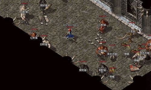 私服风云怎么玩？靠谱服筛选、避坑技巧与搬砖实战全指南