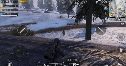 刺激战场极寒模式硬核生存上分攻略，暴风雪绝境怎么稳拿战神？附驯鹿全玩法