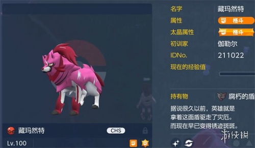 阳阳玛怎么玩才强势？2026最新配招、培养、进化及对战实战指南