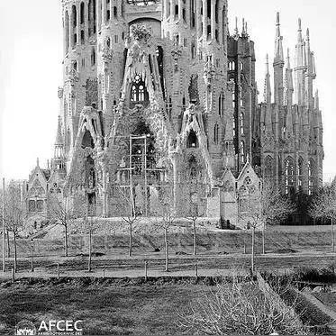 战争策略单机怎么选？2026全类型拆解+热门需求匹配的通关进阶指南