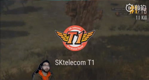 SWL联赛2026独家揭秘，赛制升级、热门战队、观赛福利及青训入门指南