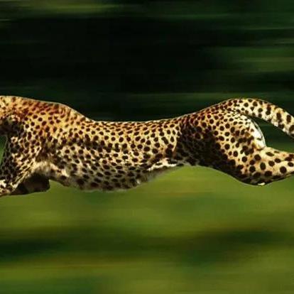 黎明之翼怎么快速开荒？机甲搭配/资源速刷/公会战制胜全攻略