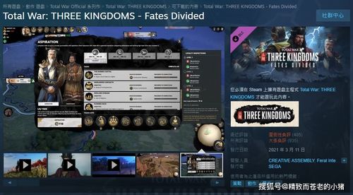 罗马全面战争补丁类型深度拆解，匹配新老玩家热门需求的专属优化指南