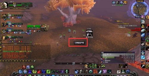 魔兽世界怀旧服熊猫人之谜开服时间实锤？2026年玩家必做前置攻略