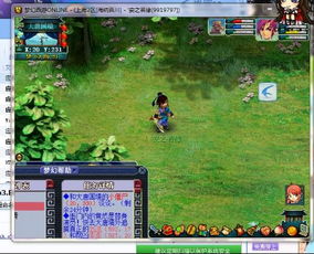 梦幻西游红尘试炼分哪几类？新手快速拿满专属奖励的实战攻略