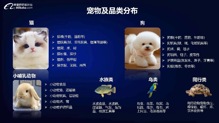 2026WOW宠物全类型深度解析，匹配热门需求的冷门强势宠养成实战指南