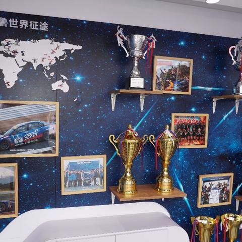 科林麦克雷拉力赛硬核攻略，从新手到拉力大师的拟真驾驶进阶全解析