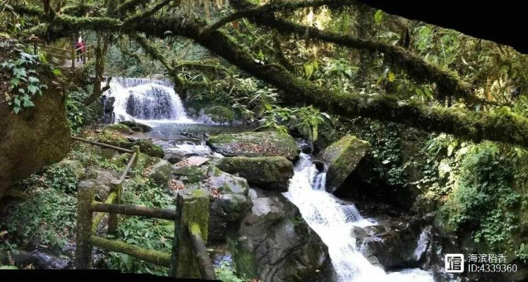 哀牢山为何是户外禁区？资深玩家揭秘致命风险与合规穿越指南