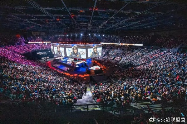 2026最新，搏击之夜分哪几类？观赛/参赛/玩虚拟的全场景攻略