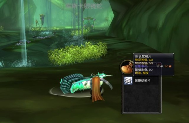 独家实测，魔兽世界考古30小时满技能+稀有藏品速刷全攻略