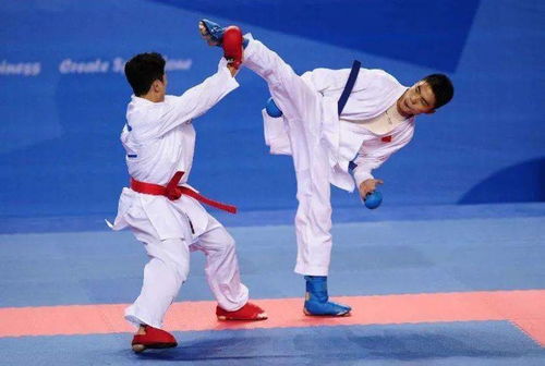 2026男柔道怎么加点？3大流派+全热门场景适配，看完直接毕业