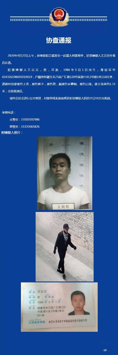 悬赏缉拿分哪几类？匹配2026热门需求的冷门高效完成技巧全攻略