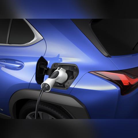 英雄联盟动画全类型解析，从剧情彩蛋到练技干货，精准匹配玩家核心需求