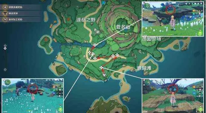 原神幽灯蕈全点位解析，白术瑶瑶突破必备，含隐藏刷新点+3分钟速采路线