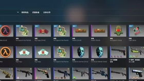 CSGO开箱多少钱才值？2026全价位方案+实测避坑指南