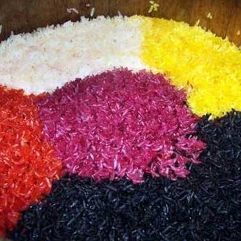 尼日利亚番茄价格暴涨20倍？破解背后逻辑、民生冲击与从业者自救方案