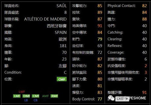 2026陌陌英雄类型深度拆解，如何精准匹配热门需求快速上分？