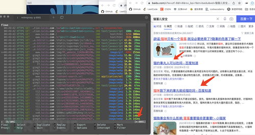 独家拆解2026新开网页传奇全类型，精准匹配你的硬核刷怪需求
