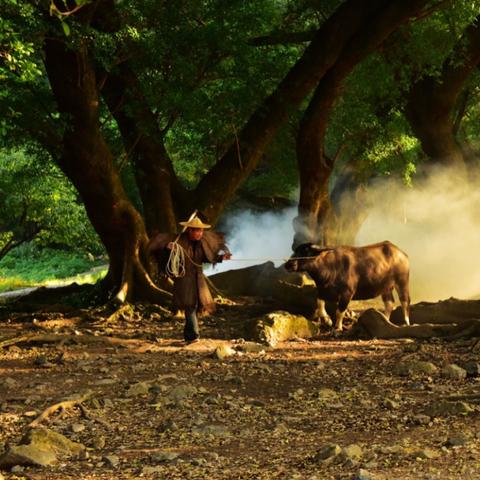 质量效应，传奇版怎么玩出完美结局？新手开局/队友忠诚/剧情避坑全攻略