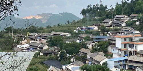 领地人生，林中村落怎么从寒冬挣扎到繁荣？硬核开荒与村民管理全指南