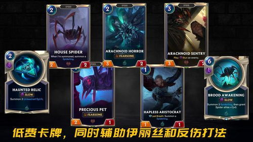 蜘蛛女皇2026年上分秘籍，钻4冲大师的野区节奏、连招细节与克制全解析