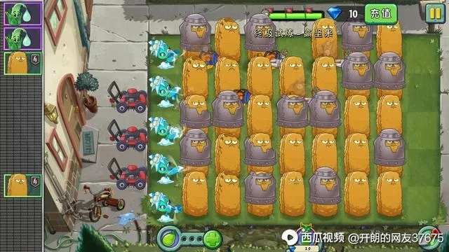 高坚果到底强在哪？PVZ全场景实战搭配&防御技巧深度解析