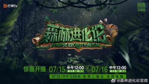 树妖森林3大隐藏生态分层解析，精准匹配开荒/刷宝/剧情玩家核心需求