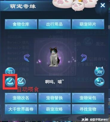 倩女幽魂宠物类型深度解析，冷门强势款+全场景配队攻略，搞定90%养宠难题